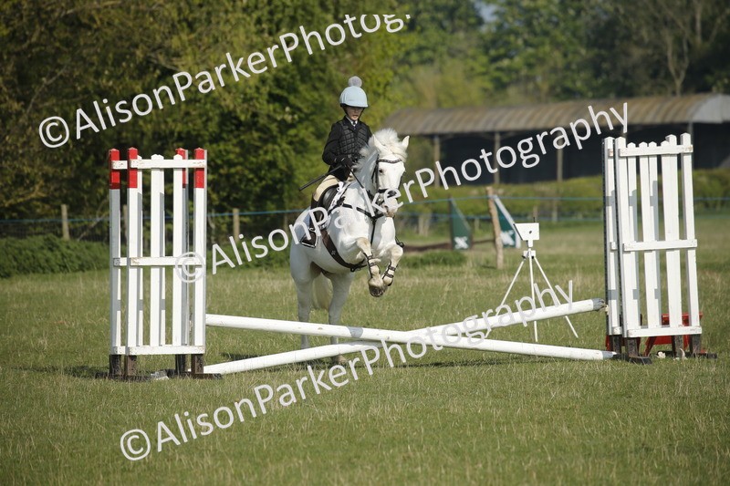 20250427-0253 - Class 12 - Rookie Jumping 40cm
