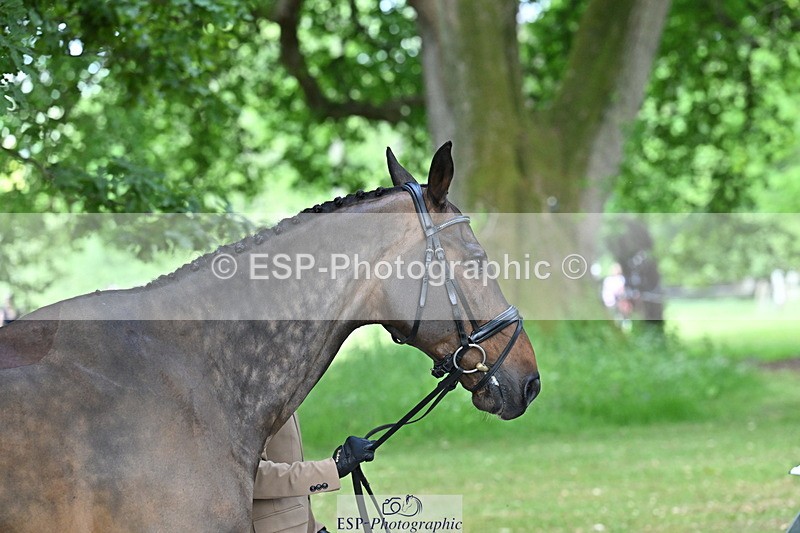 250521A-165452-01396 - C-270-Kento.Nagura-VINCI.DE.LA.VIGNE.JRA