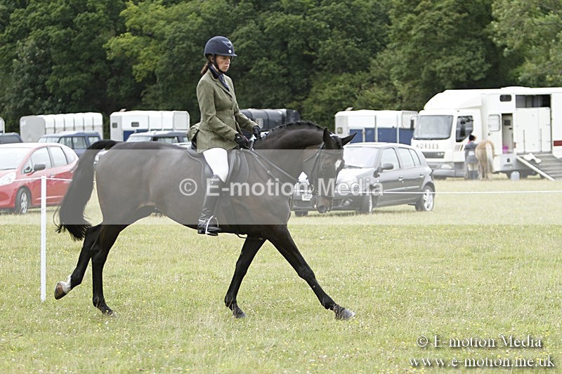 BVR160717-977 - Ring 3 BVRC Show 16/07/17