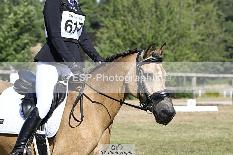 250822A-102647-20241 - DR 10.00 to 11.00