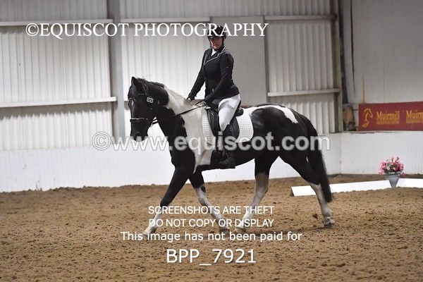 BPP_7921 - INTRO TEST 3