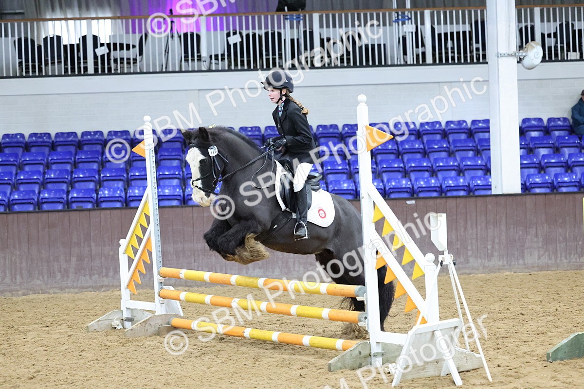 SBM_001122 - Class 3 - Christmas Tree Stakes - 60cm