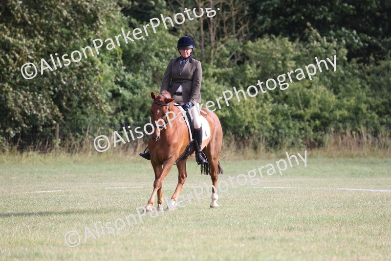 20250731-0004 - Class 2 - Prelim 3