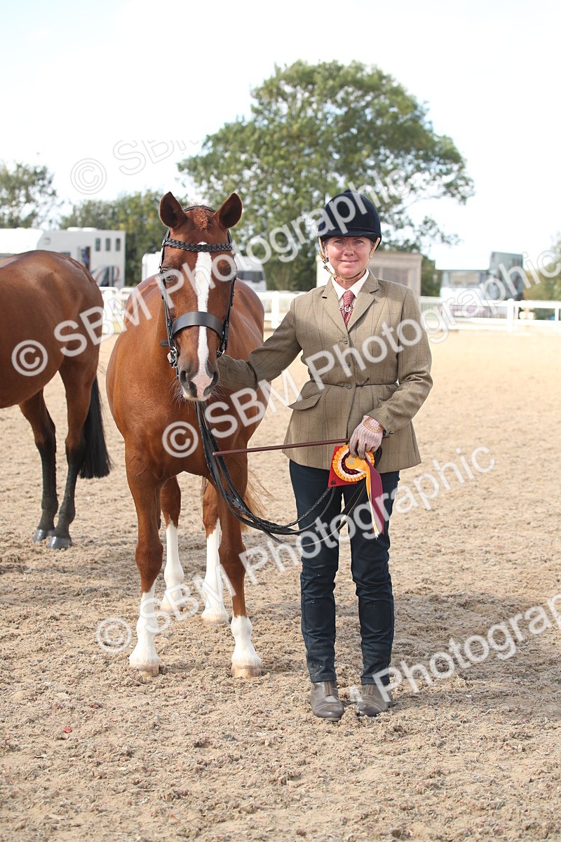 SBM_23487 - Class 604 - 2026 - Area IH Diamond