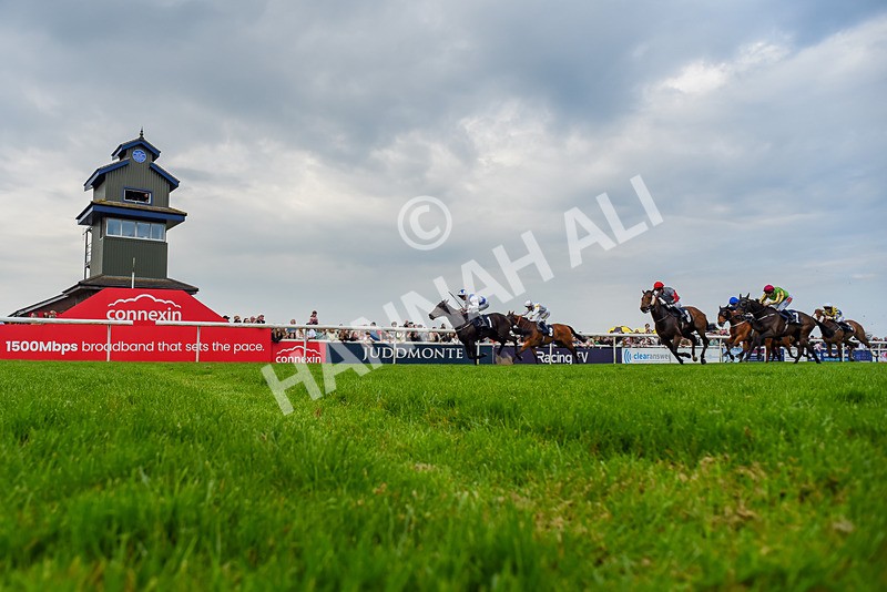 060524-Race 6-Shes Got Bottle-9193 - Race 6