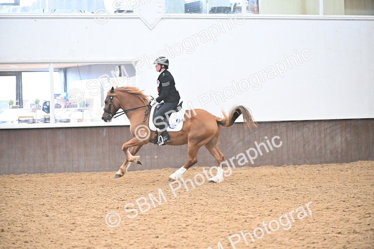 SBM_002749 - Ridden Showing Supreme Championships