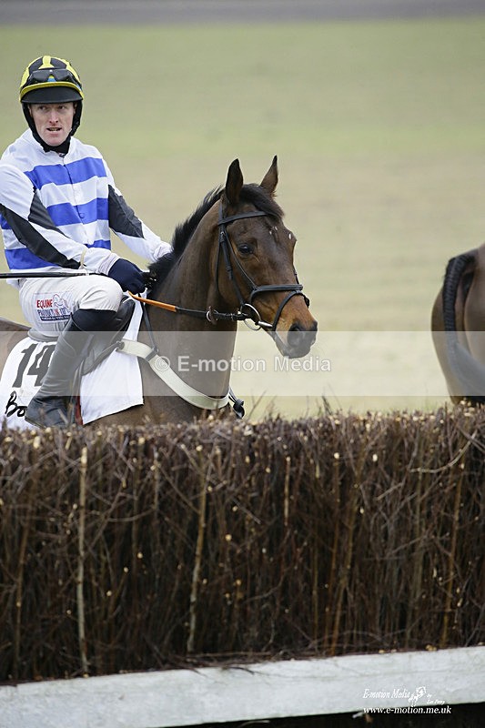 PtP 200222 557 - Countryside Alliance PtP Badbury Rings 20/02/22
