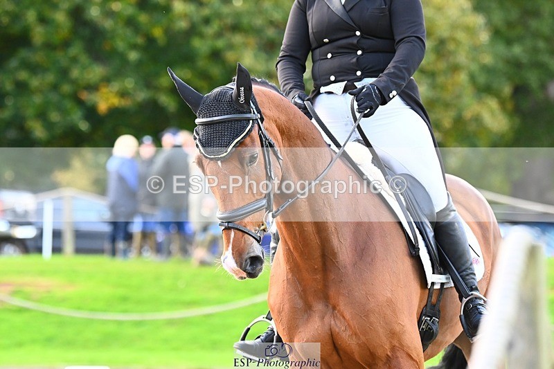 231021-144356-17905 - 359-ROSSDARRAGH.NERO-Charlotte.Rowe-DR