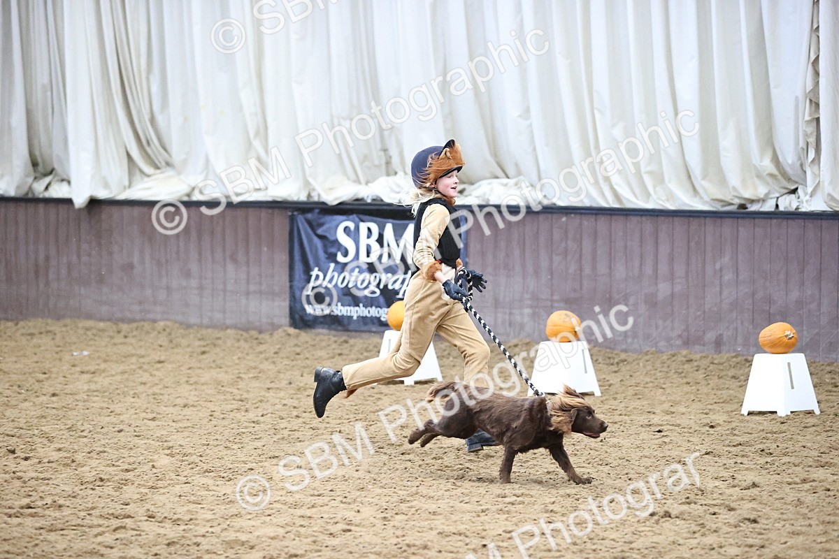 SBM_001276 - Class 3 - Horse & Hound 60cm