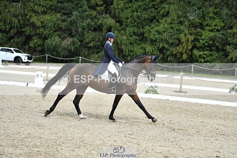 230812-152703-05019 - Cls 8 FEI PSG Silver