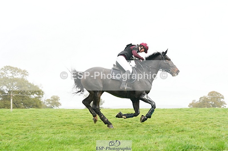 251025A-102814-17094 - D-350-Katie.Timberlake