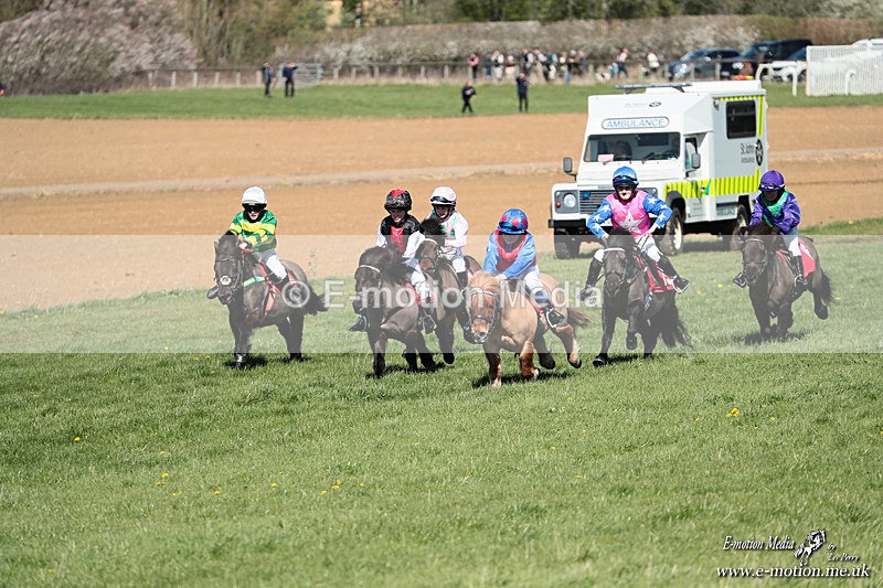 Shet 060426 246 - Shetland Pony Racing Paxford Races Easter Mon 06/04/26