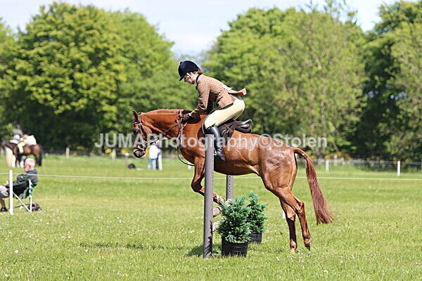 IMG_3779 - Working Hunter