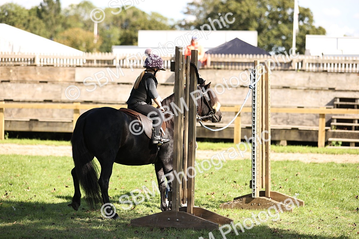 SBM_23045 - S4 - Have a Go at Working Equitation