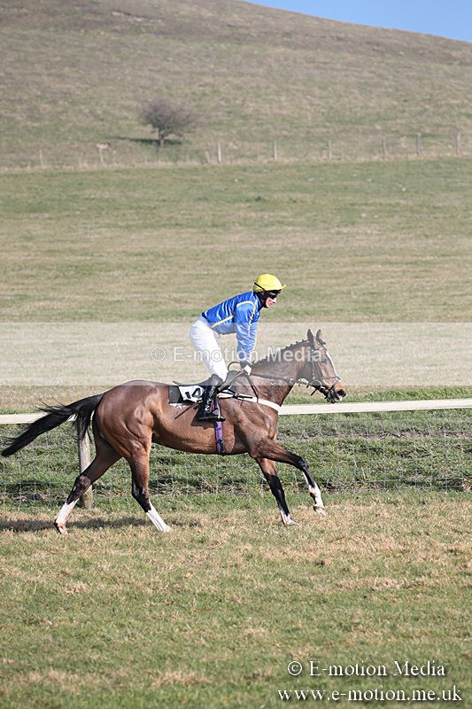 PtP 230219 269 - Vine & Craven Point-To-Point - Barbury 23/02/19