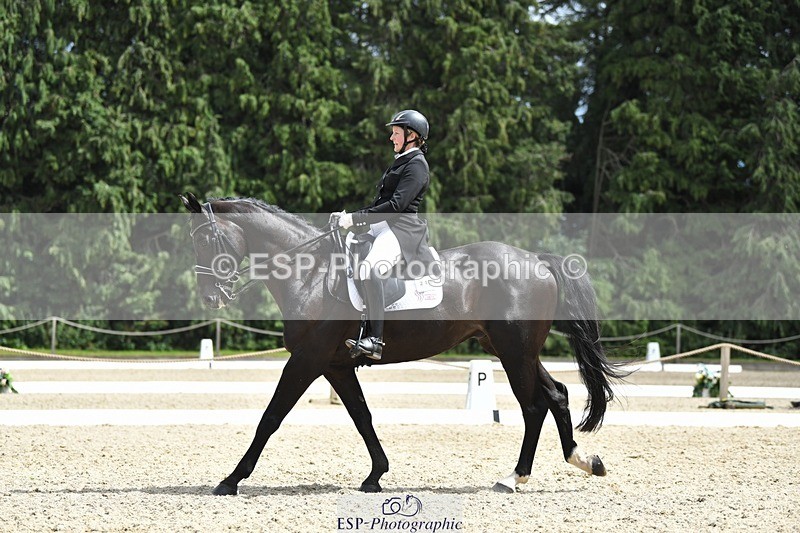 230812-135847-04555 - Cls 7 FEI PSG Bronze