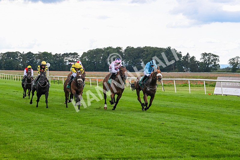 170724-Race 3-Ingleby Archie-9945