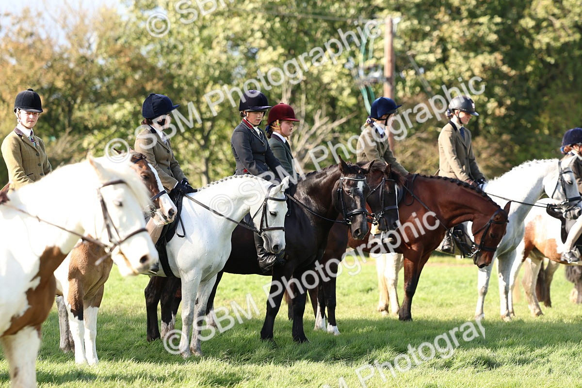 SBM_52468 - S13 - Pony Club Pony
