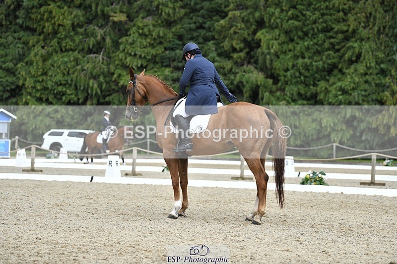 230812-151148-04947 - Cls 8 FEI PSG Silver