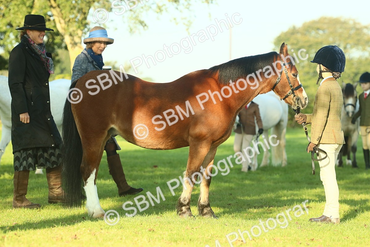 SBM_57444 - S37 - Starters In Hand Showing