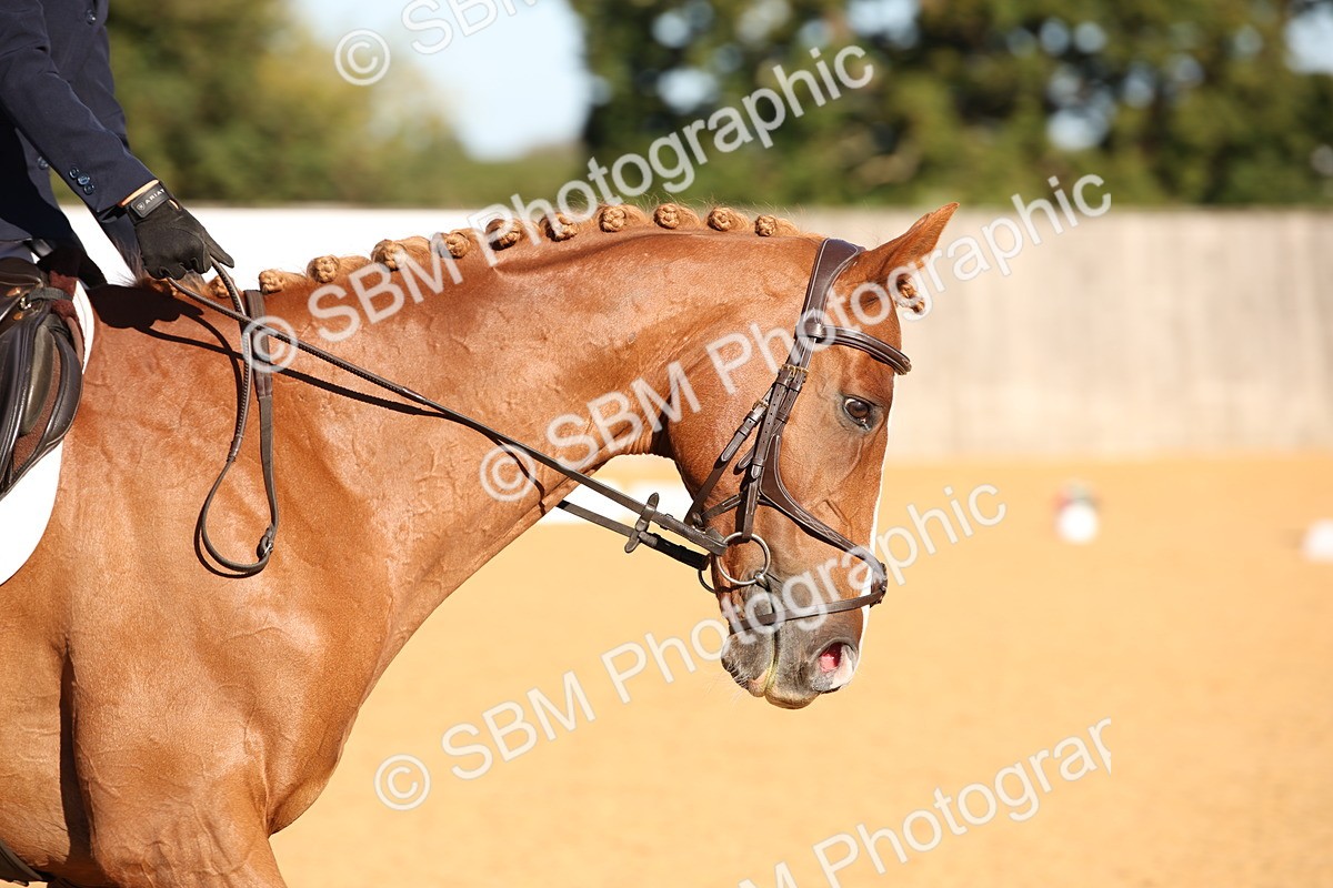 SBM_01836 - D2 Small Tour Championship Intro C