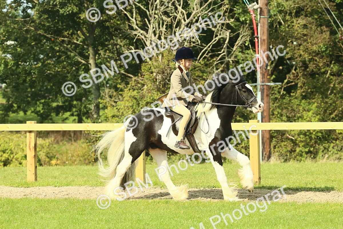 SBM_67476 - S56 - Coloured Pony Ridden