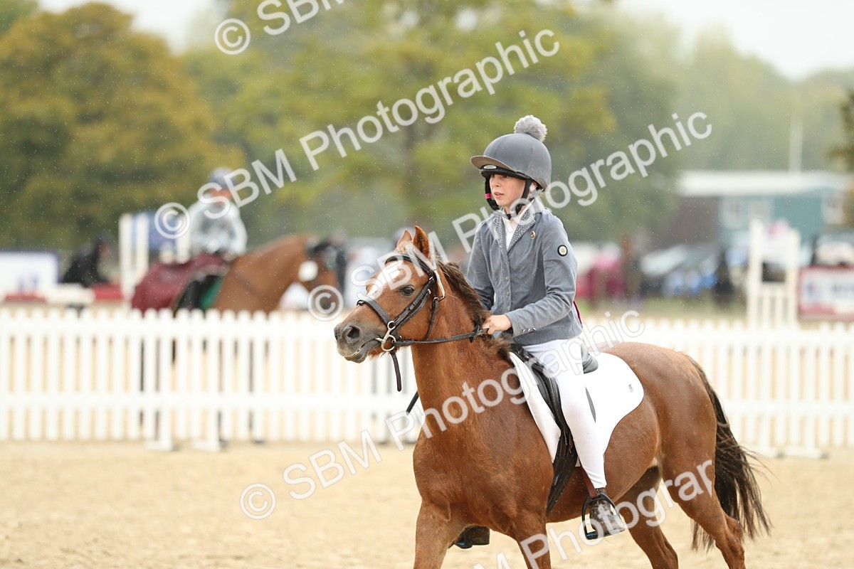 SBM_70441 - J15 - Junior Pony 70cm Championship