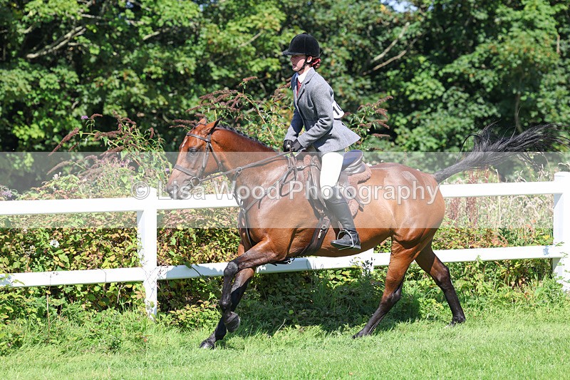 3E7A8430 - Class 4: Novice working Hunter