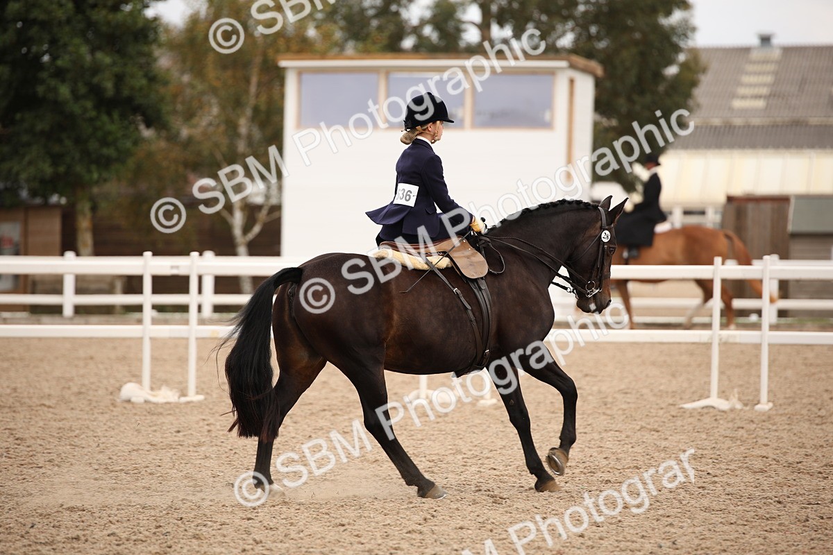 SBM_05456 - Class 22 SSA Equitation