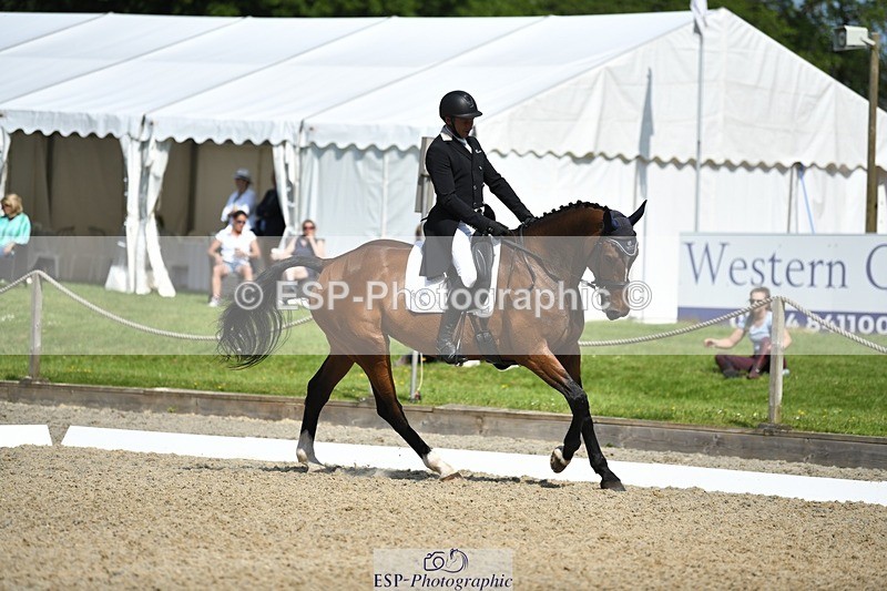 230525-102748-01717 - 312-J'ADORE_SALSA-Michael_Owen-WEDTrotUp+DR