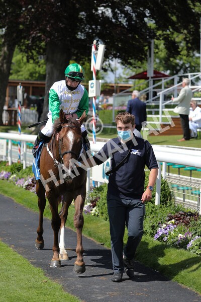 yr11062021r3-38 - Race 3 2.55pm SKF Rous Selling Stakes