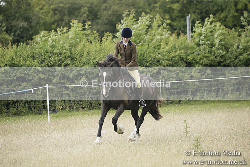B230619-0494 - Bourne Valley Riding Club Summer Show 23/06/19
