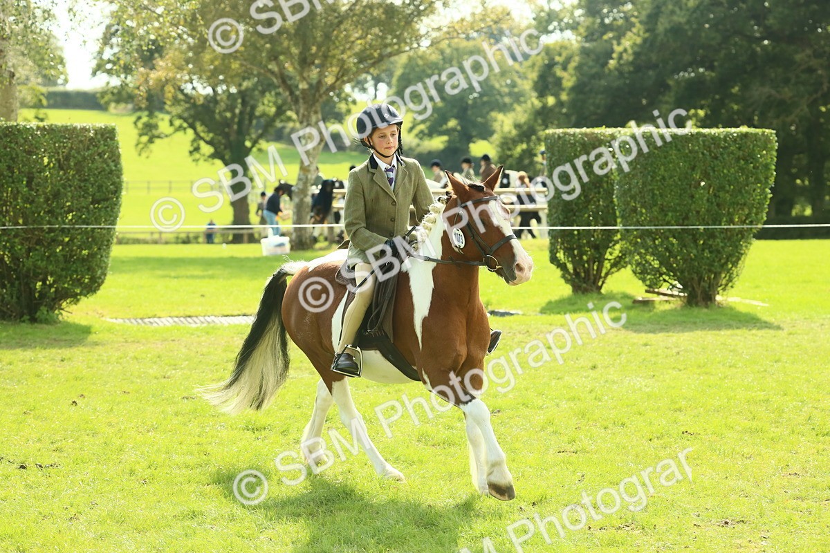 SBM_68924 - S58 - Mini Show Cob Ridden