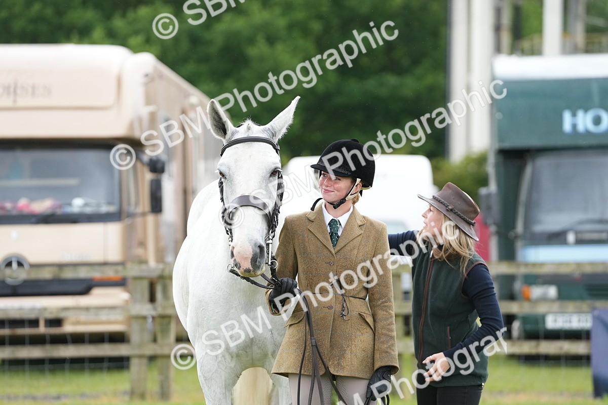 SBM_12710 - Class 97-98 - LIHS BSHA Rising Star Working Show Horse Hunter