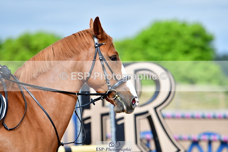 240523A-093837-00056 - Cls 9 British Novice and 90cm Open