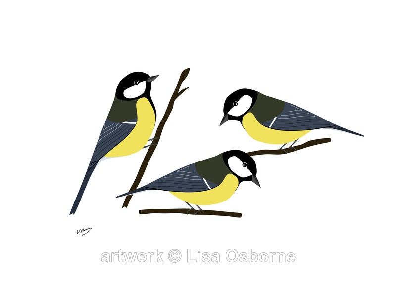 Great tits - DIGITAL ARTWORK