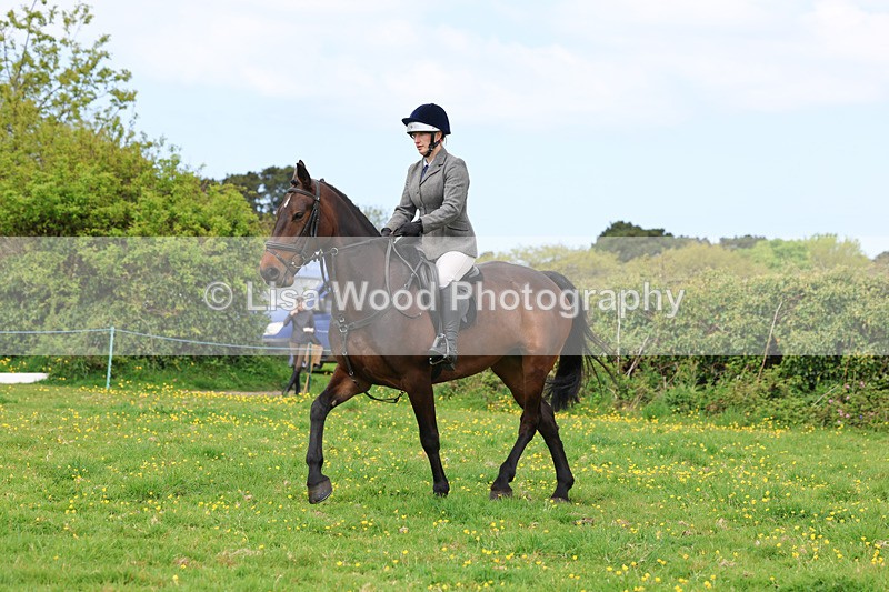 3E7A1232 - Class 7: Ridden Hunter Type