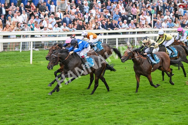 080925-Race 5-Elmonjed-7703 - Race 5 4.30pm Sky Bet Starman Garrowby Stakes