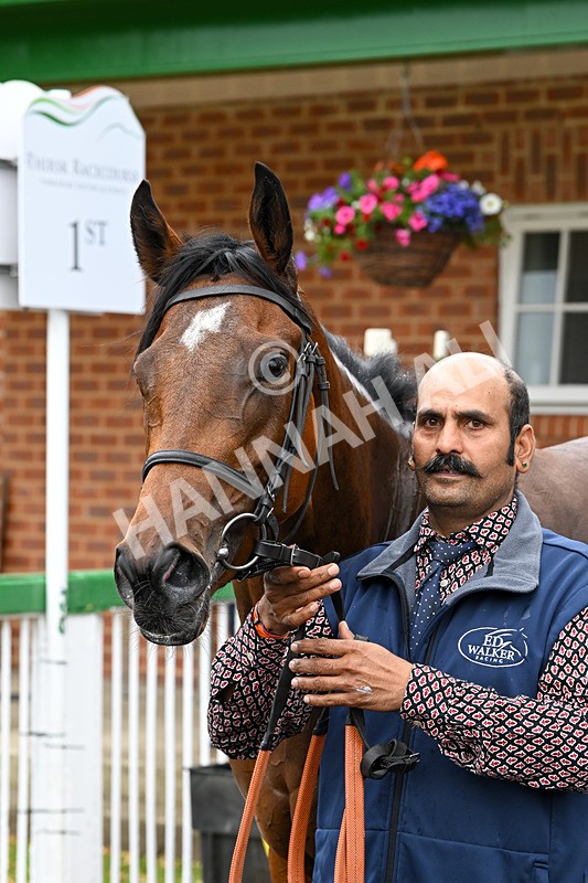 170625-Race 1-Royal Fixation-4531 - Race 1