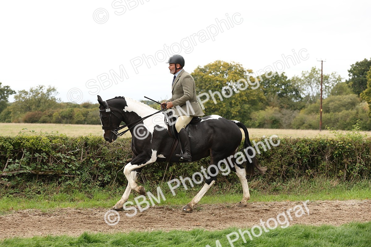 SBM_67268 - S67 - Piebald & Skewbald Horse Ridden