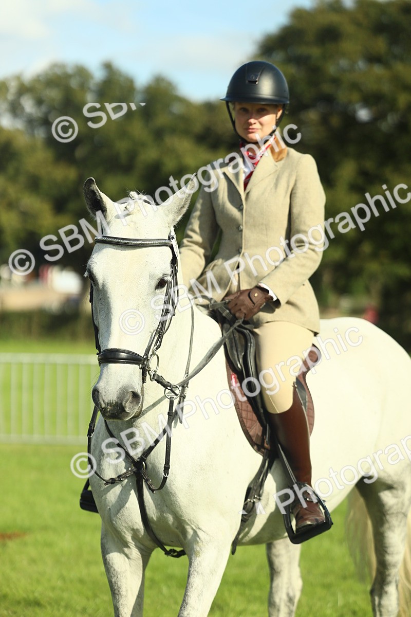 SBM_49836 - S32 - Novice & Newcomers Working Hunter