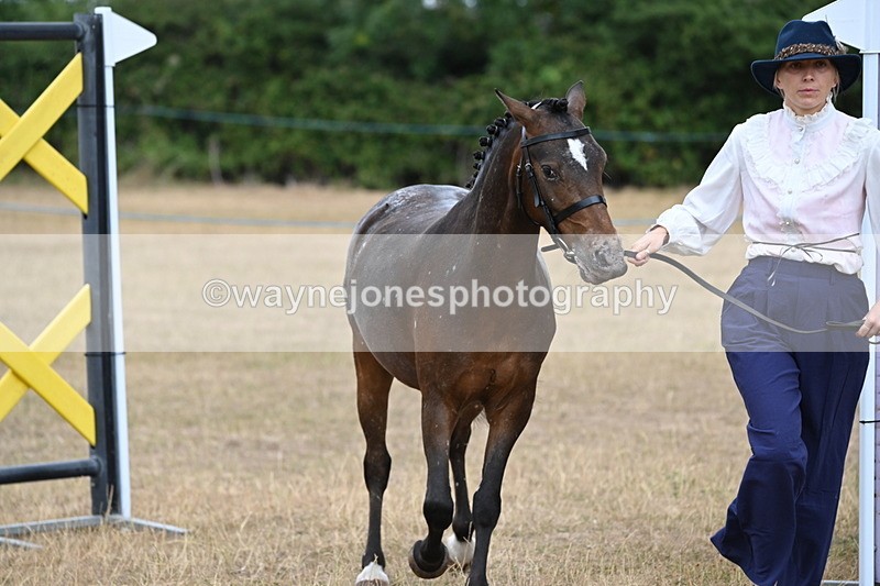 WJ6_8070 - Class 10 Coloured in Hand