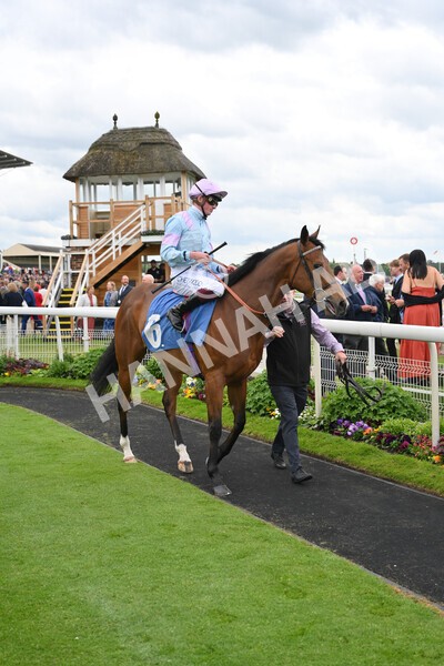 yr21052022r1-11 - Race 1: 1:40pm William Hill Play Responsibly Stakes