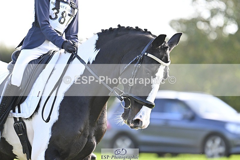 241025-142553-09646 - 387-Kelly.Knockaert-PIPER.II