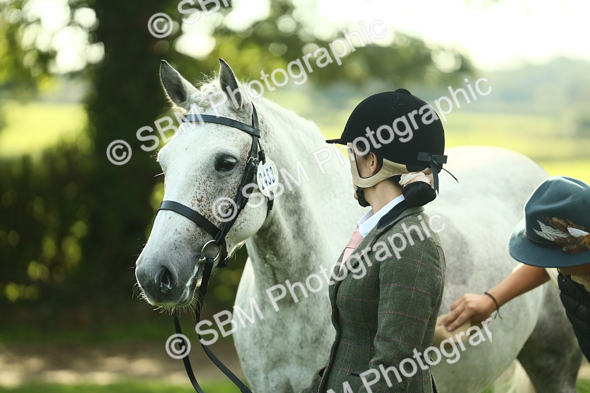 SBM_52129 - S33 - Working Hunter & Working Show Horse