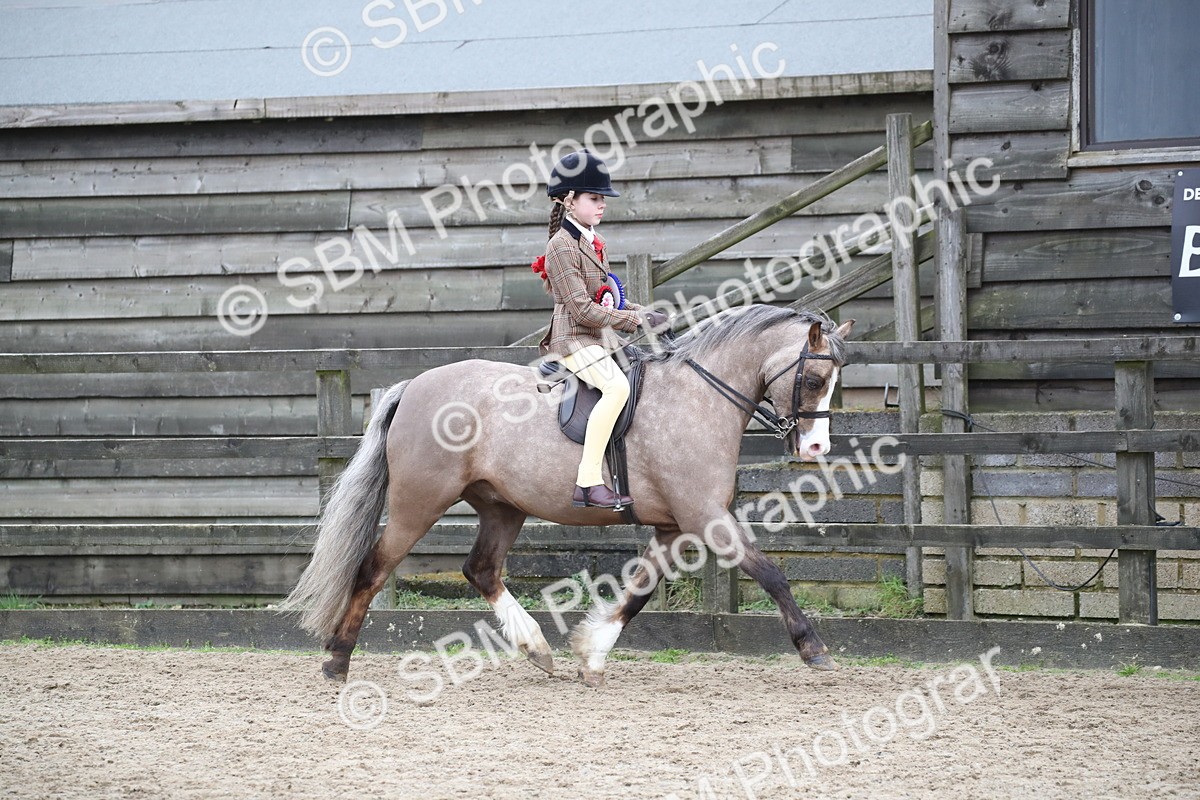SBM_007133 - Class 10-13 - RIHS Small Large Breeds