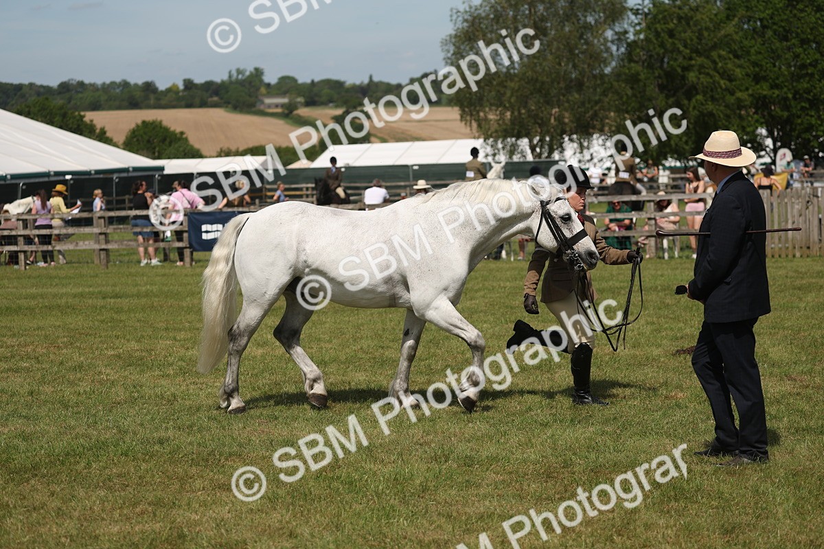 SBM_07630 - Class 26-30 - Mountain and Moorland Ridden