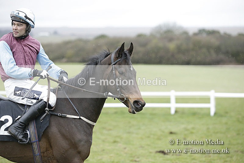 PtP 150320 0265 - New Forest Point-to-Point Larkhill 15/03/20