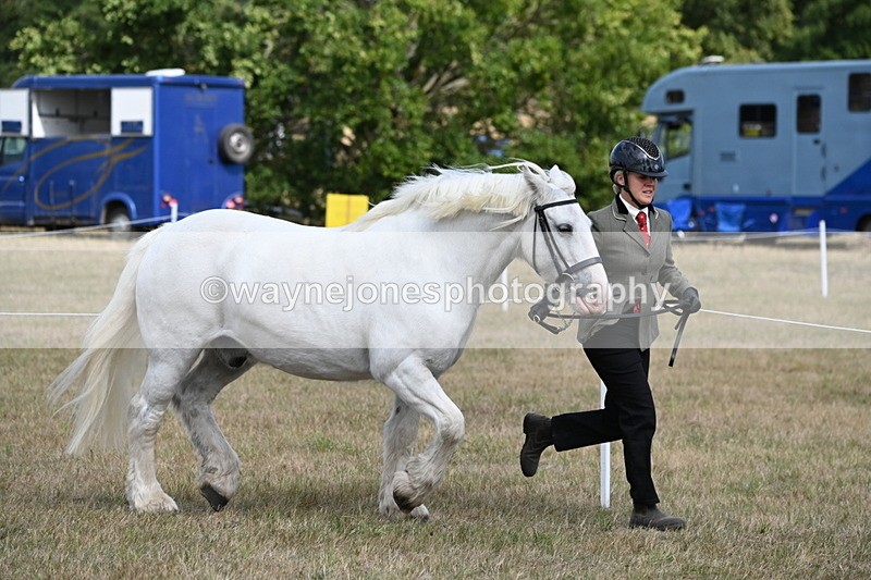 WJ6_6489 - Class 20 In-hand Cob