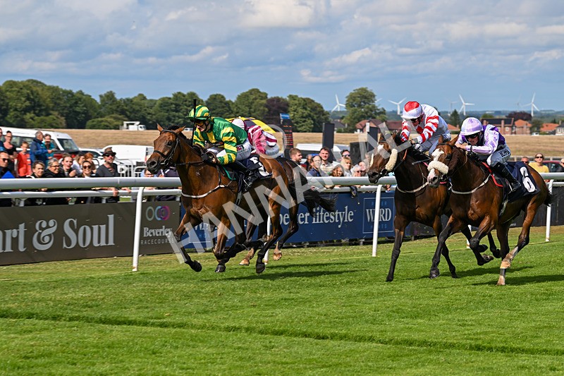 240625-Race 6-Quirke On Parole-9014 - Race 6